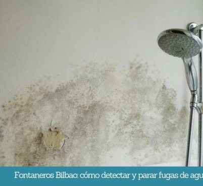 Fontaneros Bilbao como detectar y parar fugas de agua isurbide